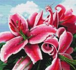 (image for) Secret of the Lily